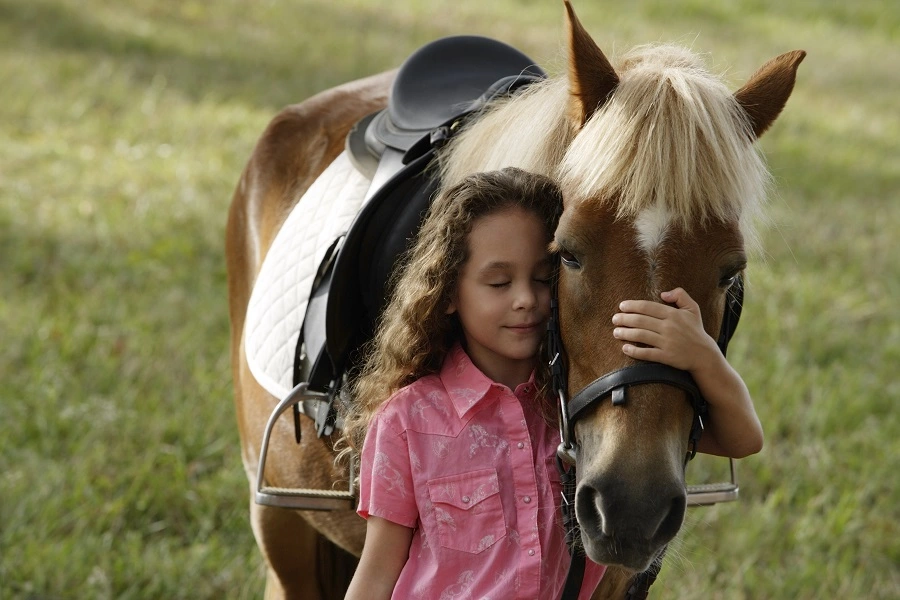 Une petite fille fait un câlin à un cheval